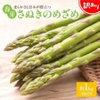 訳あり 柔らかさと甘みが際立つ さぬきのめざめ春芽 約1kg