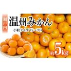 ふるさと納税 【先行予約】瀬戸内温州みかん 小粒サイズ 約5kg【2025年10月中旬〜2026年1月下旬配送】 香川県高松市
