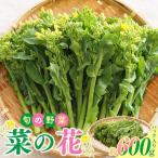 旬の野菜 菜の花 パック入り 約600g