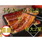 うなぎ白焼き2尾セット たれ付き ※着日指定..
