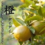 だいだい ポン酢用 5kg箱 4.5キロ入り