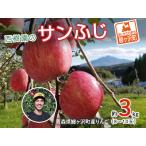 りんご サンふじ 約3kg