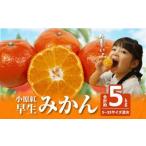 ふるさと納税 【訳あり】ご家庭用 小原紅早生みかん(サイズおまかせ)約5kg【2025年11月中旬〜2026年1月中旬配送】 香川県高松市
