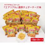 ふるさと納税 ヤマザキビスケット『エアリアル』濃厚チェダーチーズ味(12袋×2ケース) | お菓子 お菓子 お菓子 お菓子 お菓子 _BY06 茨城県古河市