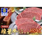 牛肉 椎葉牛 ヒレ肉 480g