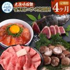 土佐味堪能4ヶ月香美市コラボ定期便 1回目