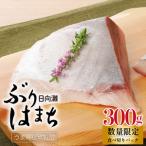 日向灘ぶり はまち うまみ極点製法食べきりパック300g