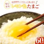 飼料にこだわった鶏が産む安全安心のレモン色たまご 60玉