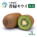 訳あり ご 香緑キウイ 小玉 約3kg