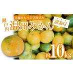 ふるさと納税 【訳あり】太陽たっぷり浴びた　瀬戸内温州みかん　約10kg【2024年10月上旬〜2025年1月中旬配送】【T006-274】 香川県高松市