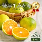 極早生みかん 5kg