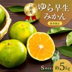 ゆら早生みかん 5kg
