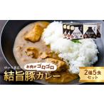 白川郷 結旨豚カレー 5食セット 中辛 レトルト