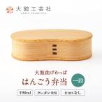 125P6001 はんごう弁当一段