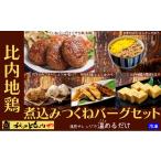 比内地鶏煮込みつくねバーグセット