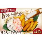 練り物 練り天ぷら詰め合わせA BLCE001
