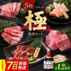 焼肉セット 味付き 極 1.2kg