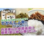 コシヒカリ 実山椒 山蕗 ごはんのお供付き