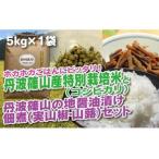 コシヒカリ 実山椒 山蕗 ごはんのお供付き