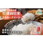 丹波篠山産 特別栽培 ミルキークイーン 白米 10kg