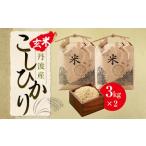 ふるさと納税 【玄米】丹波篠山産こしひかり玄米《令和7年度産》3kg×2 Q003 げんまい 100%単一原料米 産地直送米 贈答 おいしい お米 .. 兵庫県丹波篠山市