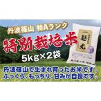 コシヒカリ 特別栽培米 越光 2kg