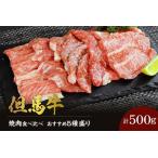 但馬牛 焼肉 食べ比べ 5種盛り 500g