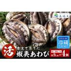ふるさと納税 【冷蔵 活あわび 養殖 9cm×4枚 320〜400g (1個80〜100g)】満点青空レストラン うまい!おせち2023に採用されました 新鮮 日.. 兵庫県香美町