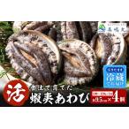 ふるさと納税 高評価☆4.8 活あわび 9.5cm×4枚 400g〜480g (1個100〜120g） 発送目安 入金確認後1ヶ月以内 20-03 兵庫県香美町