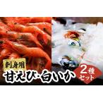 甘えび 白いか お刺身 セット 冷凍 エビ えび