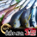 S059-T01A_ 旬の朝獲れ鮮魚を3ケ月連続お届け♪