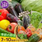 野菜定期便 7-10品目 ながさき南部