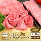 最高級和牛を A4 A5 佐賀牛希少部位おまかせ9種堪能セット1…