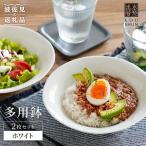 多用鉢 2枚セット ホワイト カレー皿 パスタ皿