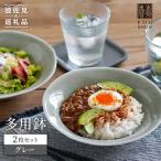 多用鉢 2枚セット グレー カレー皿 パスタ皿