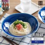 多用鉢 2枚セット ブルー カレー皿 パスタ皿