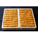 fu.... налог ezo морской еж hemicentrotus . данный средний ...150g×2.[2026 год 2 месяц последняя декада после последовательный отправка ] D-53037 Hokkaido корень . город 