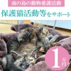 生き物 南の島の動物愛護活動 保護猫活動等をサポート