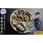 牡蠣 LLサイズ 12個