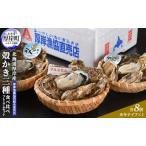 ふるさと納税 北海道 厚岸産 殻かき 三種 食べ比べ プレミアムセット 牡蠣 魚貝類 生牡蠣 殻付き牡蠣 カキ 北海道厚岸町