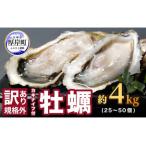 ふるさと納税 訳あり 牡蠣 北海道厚岸産 殻付カキ 約4kg (25から50個) カキナイフ付 生食 北海道厚岸町