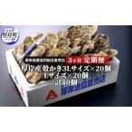 牡蠣 定期便 3ヶ月 3L