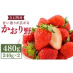 いちご かおり野 240g×2パック