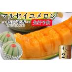 ふるさと納税 CF108【令和8年度出荷分】マルセイユメロン〜島原風香〜（4L×2玉）[農事組合法人　『舞岳の里』生産組合 長崎県 島原市 CF108.. 長崎県島原市