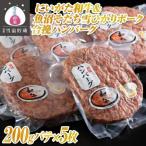 雪温貯蔵にいがた和牛&魚沼そだち雪ひかりポーク合挽ハンバ…