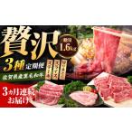 黒毛和牛 定期便 牛肉