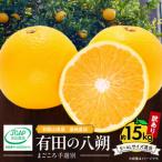 有田の八朔 はっさく 約15kg