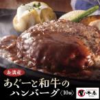和牛 アグー豚 入り ハンバーグ 10個