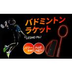 ショッピング大分 ふるさと納税 R14042　バドミントンラケット　LESMO　P6J 大分県大分市