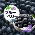 訳あり ブルーベリー 計800g